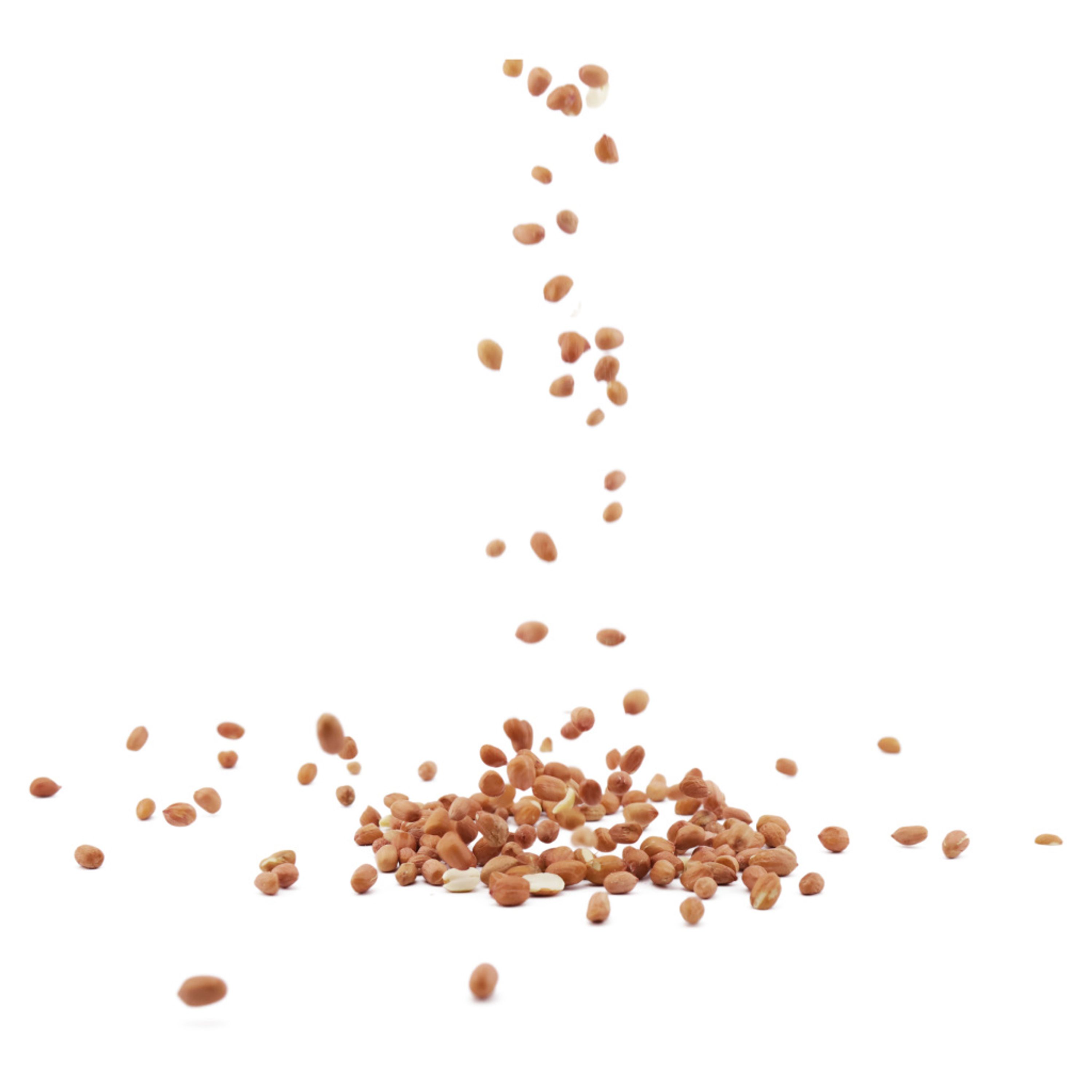 Vivara Kids Erdnüsse für Meisen und Spechte | Vogelfutter